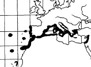 Gadella maraldi-mapa